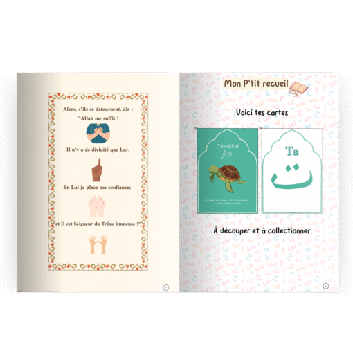 Le voyage de la tortue – Image 4